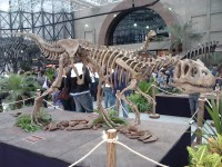 /album/galeria-de-fotos/exposi%c3%a7%c3%a3o%20dinossauros%20patagonia%20%288%29-jpg/